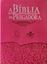 Imagem de A BIBLIA DA PREGADORA - COURO SINTETICO ROSA FLORIDA