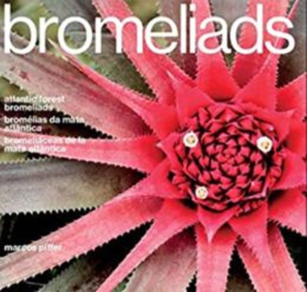 Picture of BROMELIADS