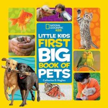 Imagem de LITTLE KIDS FIRST BIG BOOK OF PETS