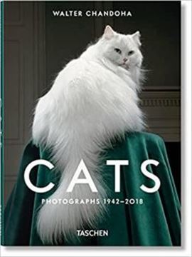 Imagem de CATS PHOTOGRAPHS 1942-2018