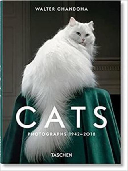 Picture of CATS PHOTOGRAPHS 1942-2018