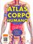 Imagem de ATLAS DO CORPO HUMANO - EDICAO REVISADA E ATUALIZADA