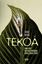 Imagem de TEKOA
