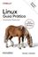 Imagem de LINUX GUIA PRATICO – 4ª ED