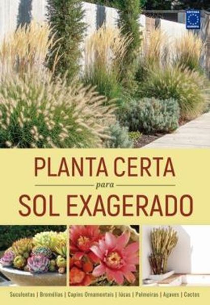 Picture of PLANTA CERTA PARA SOL EXAGERADO
