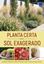 Imagem de PLANTA CERTA PARA SOL EXAGERADO