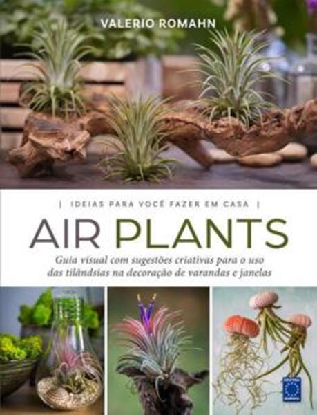 Picture of AIR PLANTS - IDEIAS PARA VOCE FAZER EM CASA