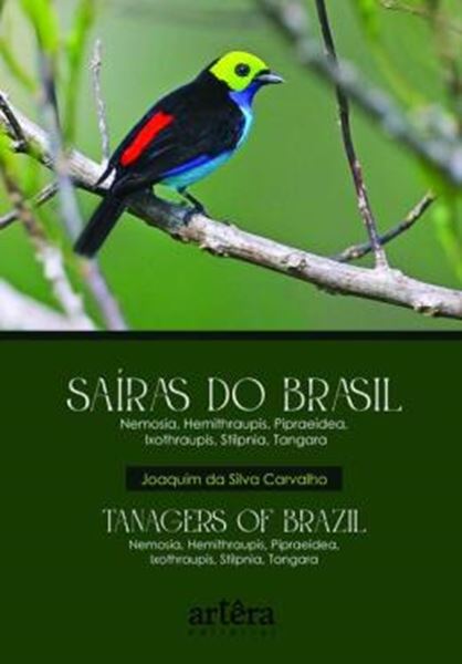 Picture of SAIRAS DO BRASIL - TANAGERS OF BRAZIL