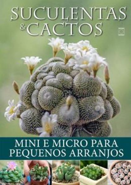 Picture of SUCULENTAS E CACTOS - MINI E MICRO PARA PEQUENOS ARRANJOS
