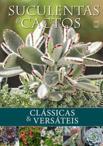 Picture of SUCULENTAS E CACTOS - CLASSICAS E VERSATEIS