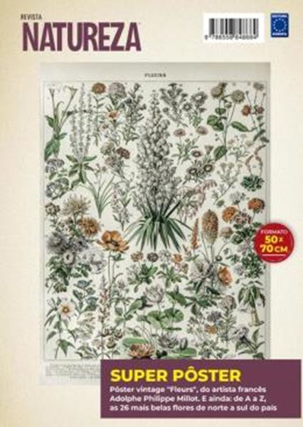 Picture of ADOLPHE PHILIPPE MILLOT: FLEURS 2 - SUPERPOSTER NATUREZA