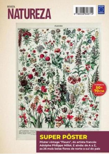 Picture of ADOLPHE PHILIPPE MILLOT: FLEURS 5 - SUPERPOSTER NATUREZA