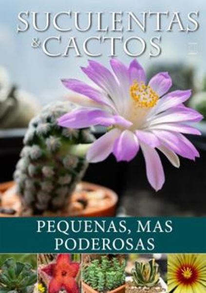 Picture of SUCULENTAS E CACTOS: PEQUENAS, MAS PODEROSAS