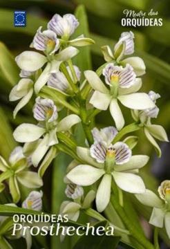 Imagem de ORQUIDEAS PROSTHECHEA - MESTRE DAS ORQUIDEAS - VOLUME 30