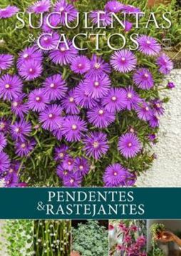 Imagem de SUCULENTAS E CACTOS: PENDENTES & RASTEJANTES